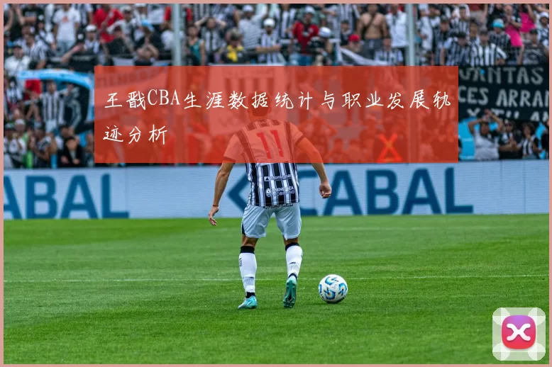 王戬CBA生涯数据统计与职业发展轨迹分析