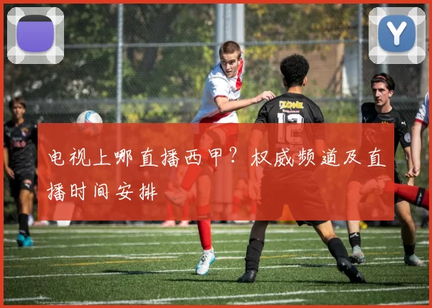 电视上哪直播西甲？权威频道及直播时间安排