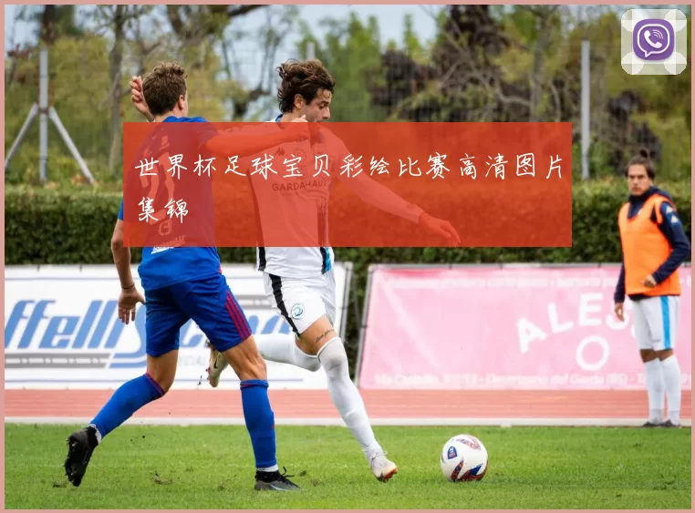 世界杯足球宝贝彩绘比赛高清图片集锦