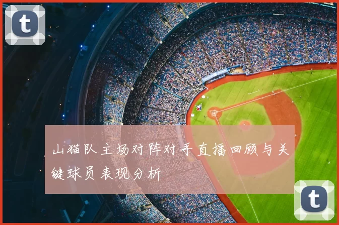 山猫队主场对阵对手直播回顾与关键球员表现分析