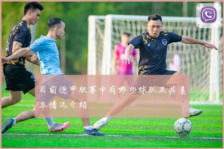目前德甲联赛中有哪些球队及其基本情况介绍