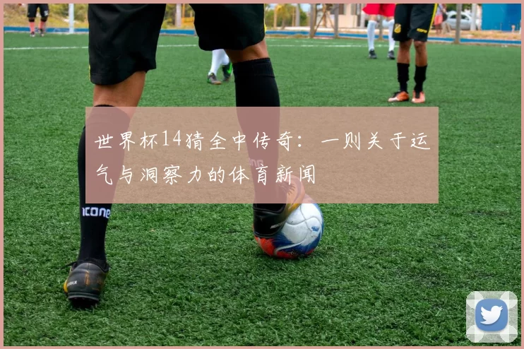 世界杯14猜全中传奇:一则关于运气与洞察力的体育新闻