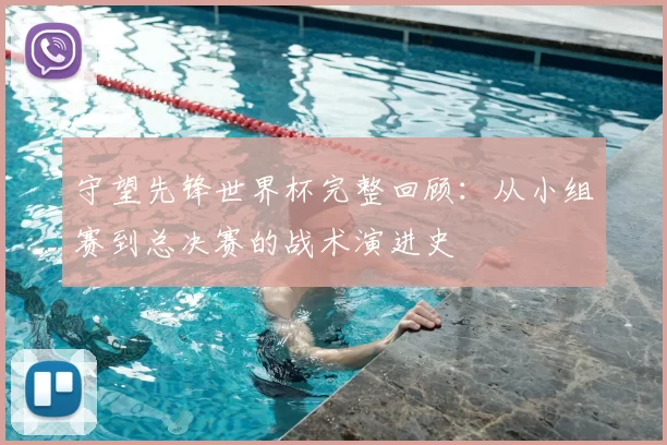守望先锋世界杯完整回顾：从小组赛到总决赛的战术演进史