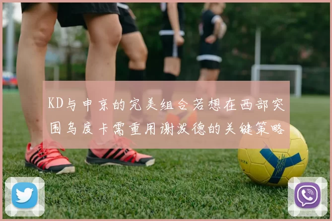 KD与申京的完美组合若想在西部突围乌度卡需重用谢泼德的关键策略