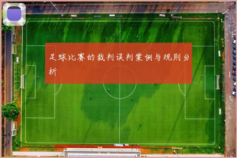 足球比赛的裁判误判案例与规则分析
