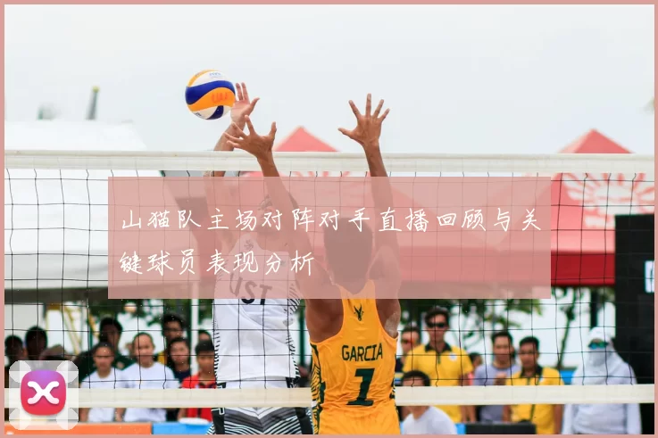 山猫队主场对阵对手直播回顾与关键球员表现分析
