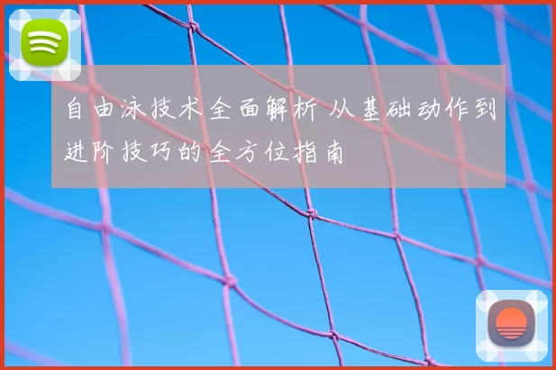 自由泳技术全面解析 从基础动作到进阶技巧的全方位指南