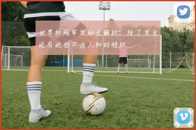 世界杯冠军奖励全解析：除了奖金还有这些不为人知的特权