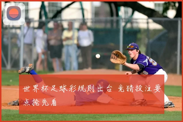 世界杯足球彩规则出台 竞猜投注要点抢先看