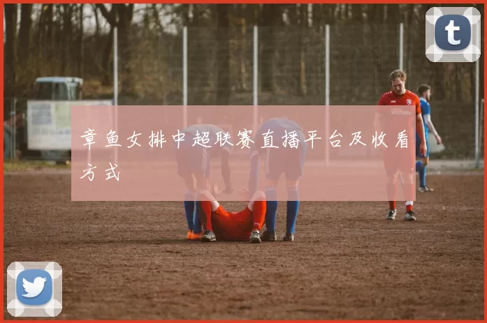 章鱼女排中超联赛直播平台及收看方式
