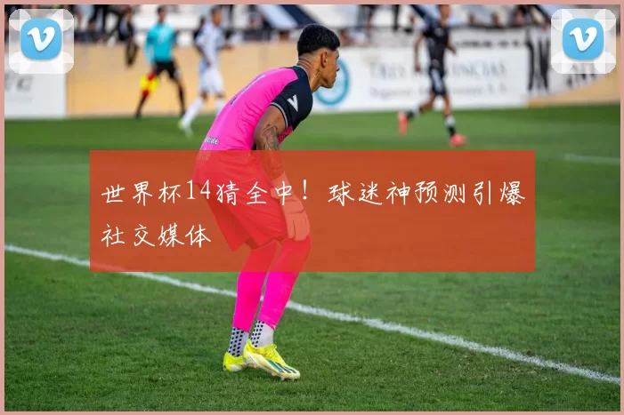 世界杯14猜全中！球迷神预测引爆社交媒体