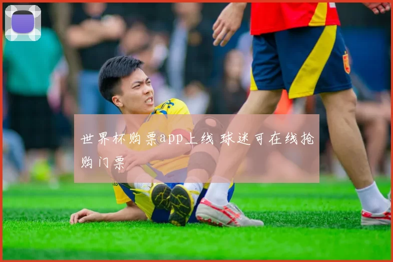 世界杯购票app上线 球迷可在线抢购门票