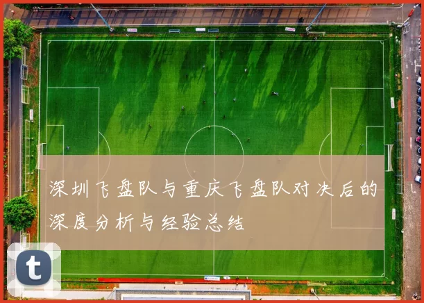 深圳飞盘队与重庆飞盘队对决后的深度分析与经验总结