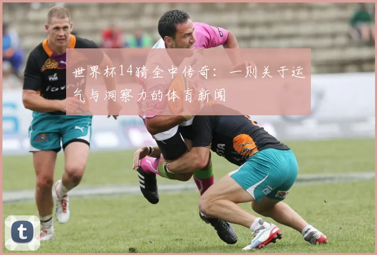 世界杯14猜全中传奇：一则关于运气与洞察力的体育新闻