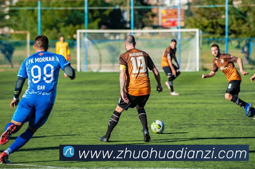 华体会体育平台生态图